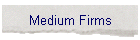 Medium Firms